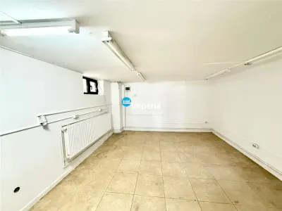 Vila interbelica de exceptie in zona centrala Iasi | 247 mp utili | teren 514 mp - foto 17