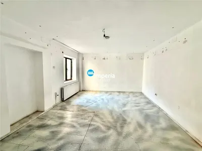 Vila interbelica de exceptie in zona centrala Iasi | 247 mp utili | teren 514 mp - foto 5