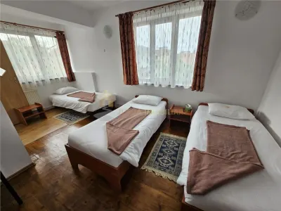 PENSIUNE 16 CAMERE  478 MP UTILI  | CURTE 320 MP | - foto 23
