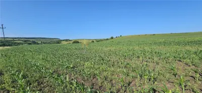 TEREN INTRAVILAN 5800 MP SUCEAGU - Suceagu