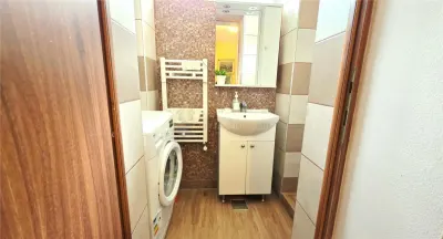 CASA 5 CAMERE 145 MP TEREN 660 MP DAMBUL ROTUND - foto 11