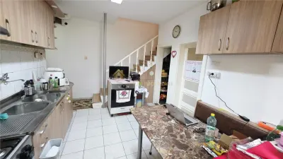 CASA 4 CAMERE 110 MP TEREN  1723 MP   DONATH GRIGORESCU - foto 16