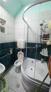 CASA 4 CAMERE 110 MP TEREN  1723 MP   DONATH GRIGORESCU - foto 19