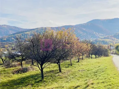 Teren intravilan 1000 mp | Marginimea Sibiului | Sibiel | priveliste superba - foto 3