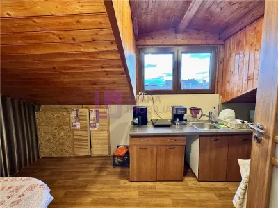 Casa de vanzare Piata Cluj | teren 336 mp | doua apartamente si anexe - foto 17