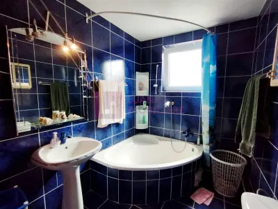 Spatiu comercial parter 70 mp si casa individuala | Turnisor | video - foto 15