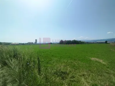 Teren intravilan 6000 mp | Cristian | zona Fermei Avicola - foto 4