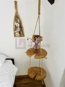 Afacere la cheie | Pensiune de 3 margarete | Paltinis | video - foto 19