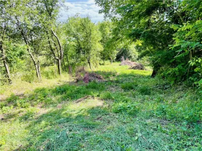 Teren 3581 mp | Marginimea Sibiului | priveliste superba - foto 5