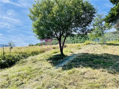Teren 3581 mp | Marginimea Sibiului | priveliste superba - foto 10