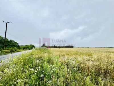 Teren intravilan 5.000 mp | Valea Avrigului | front dublu - Avrig