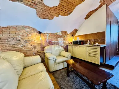 Garsoniera tip studio de inchiriat | ultracentral | renovata | 42 mp - foto 9