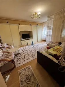 Vanzare Apartament 3 Camere Decomandat Berceni-Secuilor - foto 5