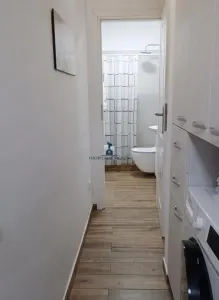 Vanzare Garsoniera Decomandata Berceni-Nitu Vasile - foto 2