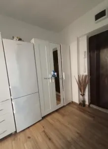 Vanzare Garsoniera Decomandata Berceni-Nitu Vasile - foto 3