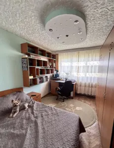 Vanzare Apartament 2 Camere Semidecomandat Berceni-Aliorului - Bucuresti