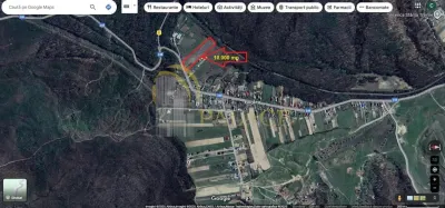 Oportunitate dezvoltare rezidentiala/agrement,  teren 10000 mp Bordea Iasi - foto 2