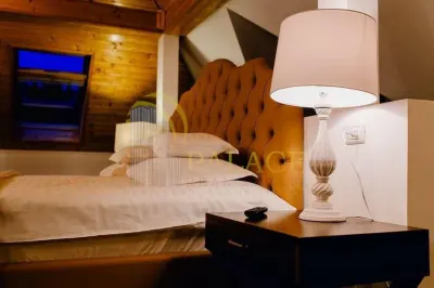 Pensiune exclusivista | afacere tip boutique la cheie | de vanzare in Sinaia | - foto 8