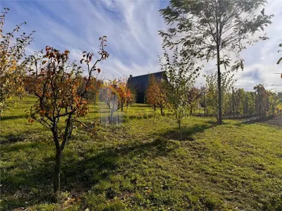 Proprietatea deosebita cu 4000mp teren, Barnova - foto 4