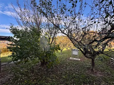 Proprietatea deosebita cu 4000mp teren, Barnova - foto 8