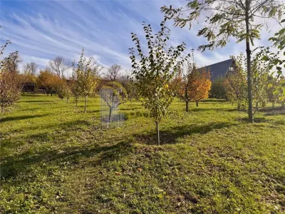Proprietatea deosebita cu 4000mp teren, Barnova - foto 9
