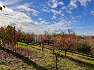 Proprietatea deosebita cu 4000mp teren, Barnova - foto 10