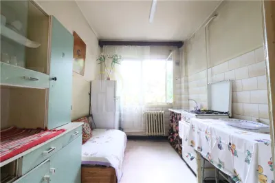 Apartament de 3 camere decomandat, etaj 2,  Podu Ros, Liceul Racovita - foto 4