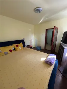 Casa 3 cam teren  239mp 82mp utili Islaz - Plantelor - foto 6