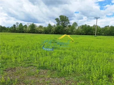 Teren extravilan de vanzare Poiana Campina - foto 8