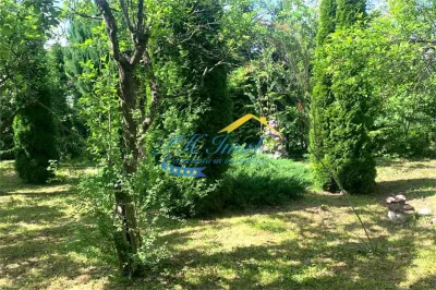 Vila de vanzare, Provita de Sus Prahova - foto 20