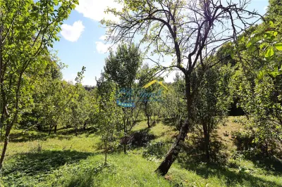 Casa de vanzare Adunati, Prahova - foto 10