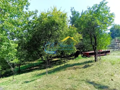 Teren Intravilan de vanzare, Poiana Campina - Poiana Campina