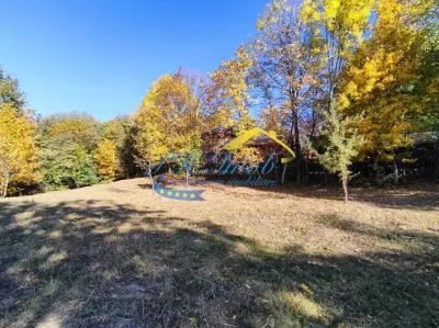Teren Intravilan de Vanzare, Cornu - Cornu