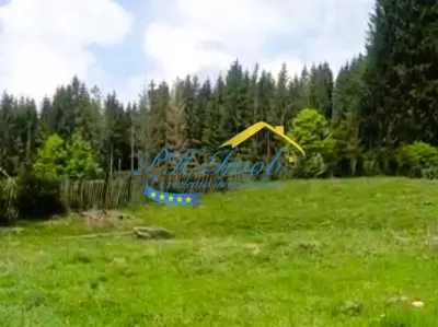 Teren de vanzare, Valea Doftanei - foto 3