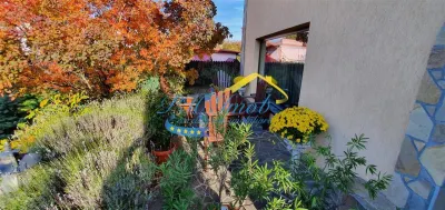 Vila de vanzare, Campina - Campina