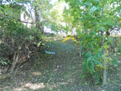 Teren Intravilan de vanzare, Sotrile Prahova - foto 6