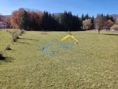 Teren Intravilan de vanzare, Valea Doftanei - foto 9