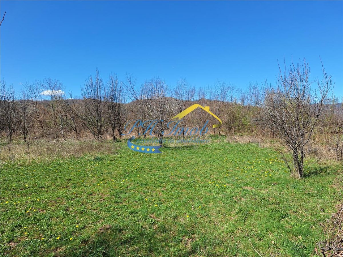 Teren intravilan de vanzare, Brebu Prahova - Brebu
