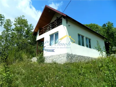 Casa de vanzare, Valea Doftanei - Valea Doftanei