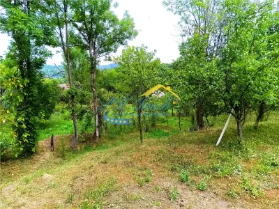Teren intravilan de vanzare, Adunati Prahova - foto 1