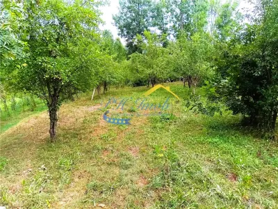 Teren intravilan de vanzare, Adunati Prahova - foto 2