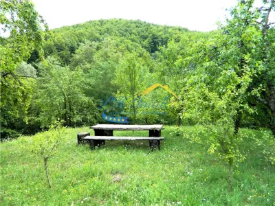 Teren extravilan de vanzare, Brebu Prahova - foto 3