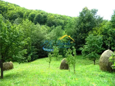 Teren extravilan de vanzare, Brebu Prahova - foto 4