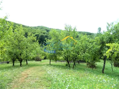 Teren extravilan de vanzare, Brebu Prahova - foto 5