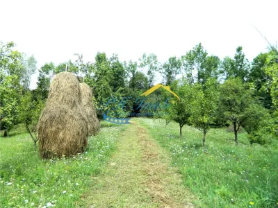 Teren extravilan de vanzare, Brebu Prahova - foto 6