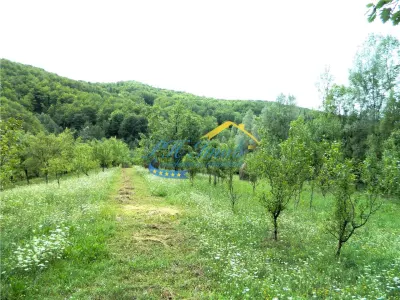 Teren extravilan de vanzare, Brebu Prahova - foto 7
