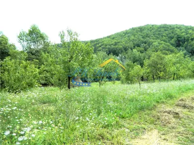 Teren extravilan de vanzare, Brebu Prahova - foto 8