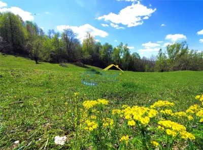 Teren intravilan de vanzare, Breaza Prahova - foto 3