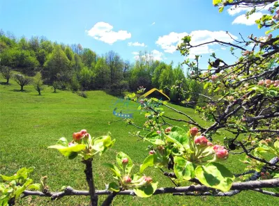 Teren intravilan de vanzare, Breaza Prahova - foto 4
