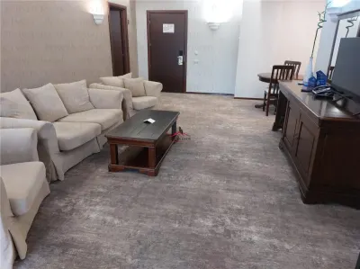 APARTAMENT 3 CAMERE, RENOVAT IN HOTELUL ALPIN, DIN POIANA BRASOV - foto 5
